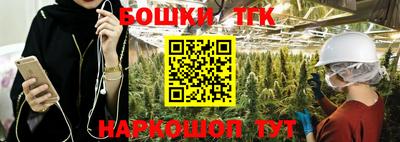 шишки Заводоуковск