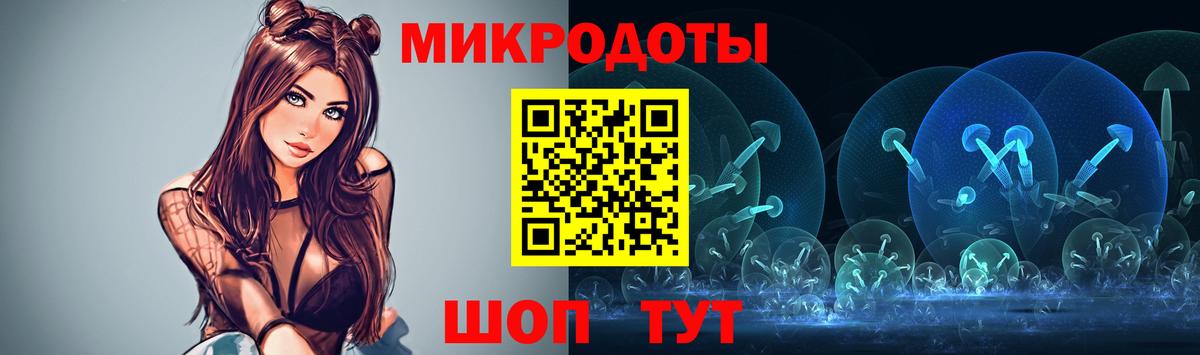 Галлюциногенные грибы Psilocybine cubensis Ликино-Дулёво
