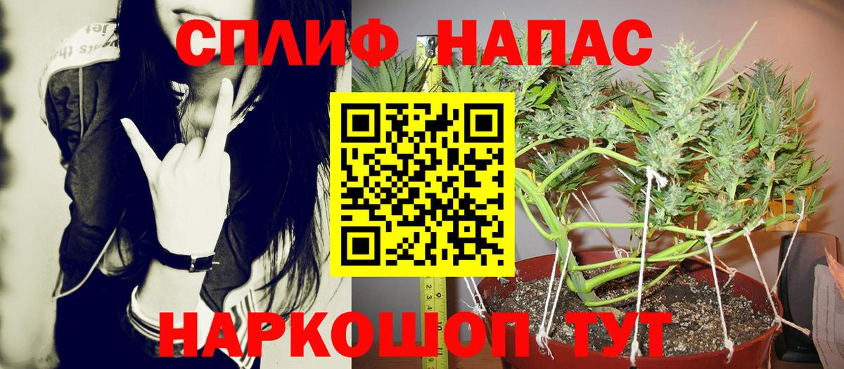 Бошки Шишки марихуана Ликино-Дулёво